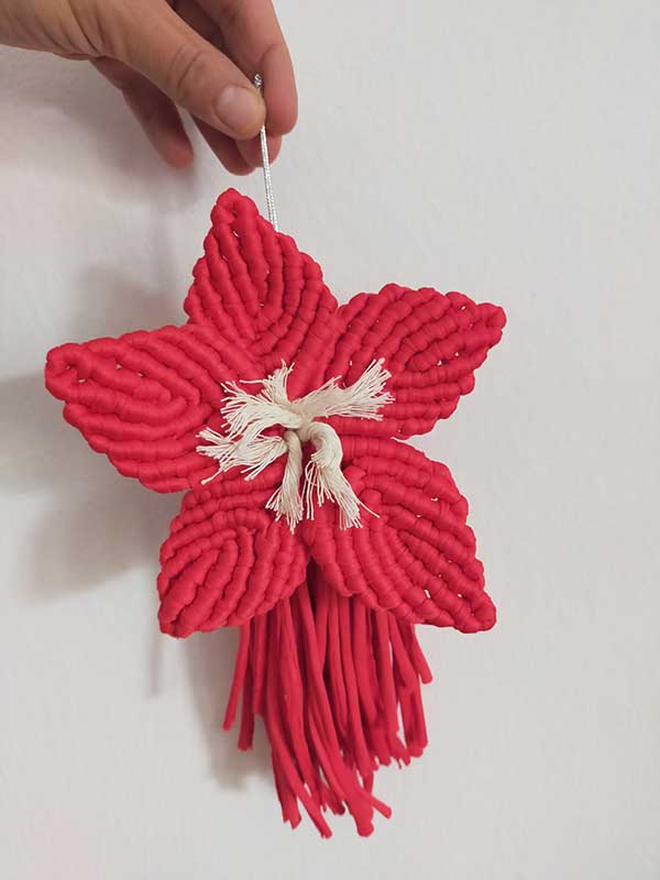 PACK NAVIDAD - Imagen 2