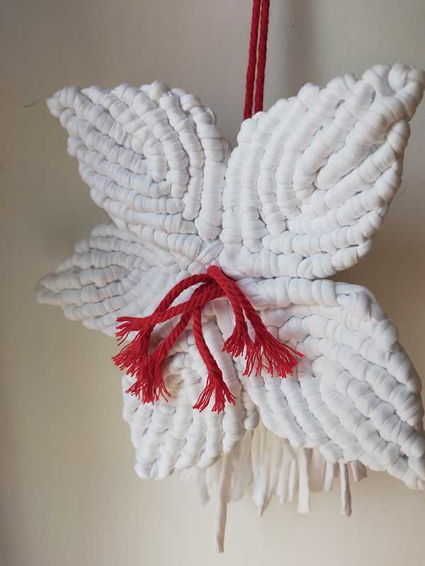 FLOR LIRIO DE NAVIDAD - Imagen 3