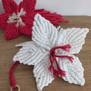 FLOR LIRIO DE NAVIDAD