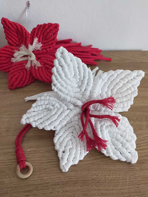 FLOR LIRIO DE NAVIDAD