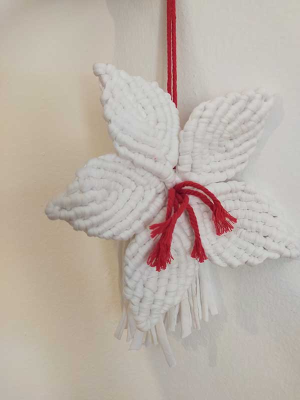 FLOR LIRIO DE NAVIDAD - Imagen 4